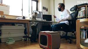 ネコメンタリー　猫も、杓子（しゃくし）も。　中川いさみとケダマとクーちゃんとテツオ