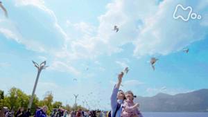 ドキュメント７２時間　中国・雲南省　カモメが見える都市公園