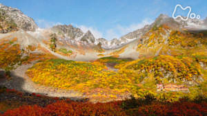 にっぽん百名山　スペシャル　秋の穂高　３０００ｍの峰々へ