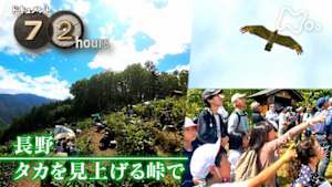 ドキュメント７２時間　長野　タカを見上げる峠で