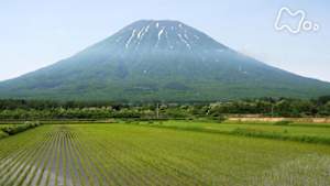 にっぽん百名山　蝦夷富士の初夏を味わう～羊蹄山～