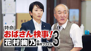 特命おばさん検事！ 花村絢乃の事件ファイル3
