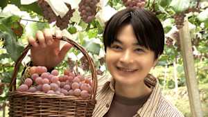 グレーテルのかまど　甲斐国　８つの宝のスコップケーキ