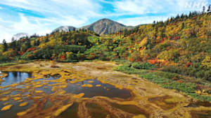 さわやか自然百景　新潟　火打山