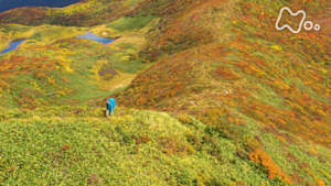 にっぽん百名山　焼石岳～みちのく　波打つ紅葉の山へ～
