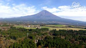 さわやか自然百景　富士山西麓　清流と湿原
