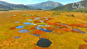 さわやか自然百景　尾瀬　秋