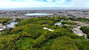 さわやか自然百景　大阪　泉州のため池