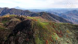 にっぽん百名山　色づくブナの天然林～白神山地～