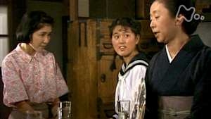 おしん　２３０回　再起編