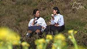 おしん　２３６回　再起編