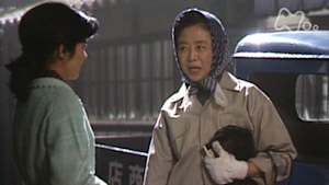 おしん　２５３回　再起編