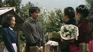 おしん　２５６回　再起編