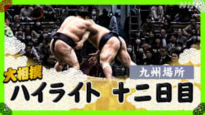 大相撲（２０２５年）　幕内の全取組　九州場所　十二日目