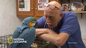 スゴ腕どうぶつドクター 総集編