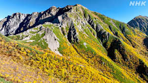 にっぽん百名山　スペシャル　秋の日本アルプスをゆく！