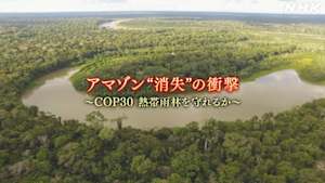 アマゾン“消失”の衝撃　～ＣＯＰ３０　熱帯雨林を守れるか～