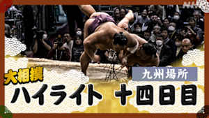 大相撲（２０２５年）　幕内の全取組　九州場所　十四日目