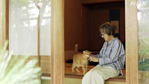 ネコメンタリー　猫も、杓子（しゃくし）も。　山下和美とモンド