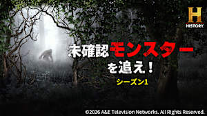 未確認モンスターを追え！