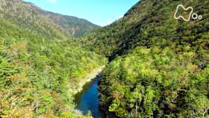 さわやか自然百景　北海道　南日高の渓谷