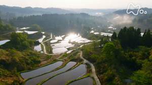 さわやか自然百景　新春特集　人と自然がつながりあう大地