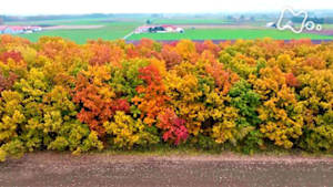 さわやか自然百景　十勝平野　命をつなぐ防風林
