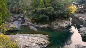 さわやか自然百景　紀伊半島　古座川