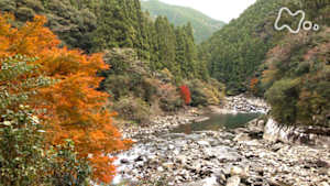 さわやか自然百景　秋　高知　安田川