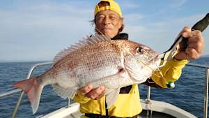 【追/見】Dz SALT 2ND 42 大分県別府湾タイラバ