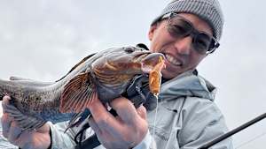 【追/見】Rock’n Fish 103 女川ロックゲーム