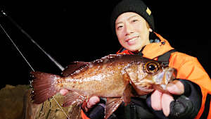 【追/見】Dz SALT 2ND 30 対馬メバリング