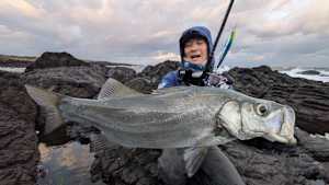 【追/見】シーバス無双 9 山口県 長門市