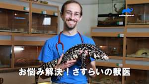 【見逃し】お悩み解決！さすらいの獣医：負傷した象