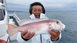 【追/見】オフショアレボリューションNEXT 149 大分のシロアマダイ