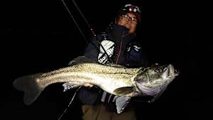 【追/見】Seabass Journey 42 愛媛県今治市 大島・伯方島