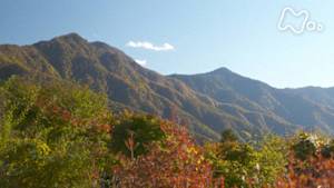 にっぽん百名山　雲取山～錦に輝く潤いの森～