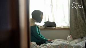 ネコメンタリー　猫も、杓子（しゃくし）も。　山口恵以子とボニーとエラとタマ