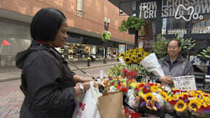 世界ふれあい街歩き　“若さ”あふれる歴史の街　ボストン