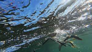 さわやか自然百景　新春特集　川の国　日本　水が紡ぐ命