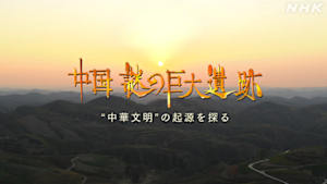 中国　謎の巨大遺跡