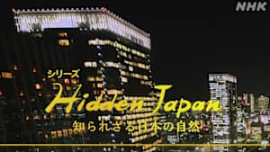 国際共同制作　シリーズＨｉｄｄｅｎ　Ｊａｐａｎ　知られざる日本の自然