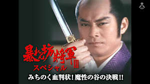 暴れん坊将軍IIIスペシャル みちのく血判状！魔性の谷の決戦！！