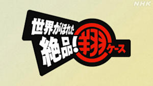 世界がほれた　絶品！翔ケース