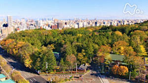 さわやか自然百景　北海道神宮　秋から冬