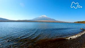 さわやか自然百景　富士山麓　山中湖