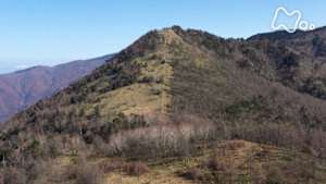 にっぽん百名山　奥秩父　笠取山～冬へ　多摩川源流の山～