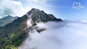 にっぽん百名山　花満つる　天空の縦走路～“四国の屋根”石鎚山系～