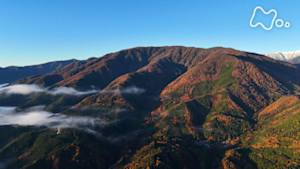 にっぽん百名山　幽玄の世界に分け入る～山梨・櫛形山～