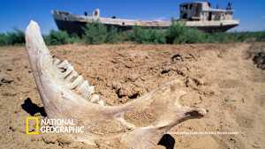 ミステリアス・アイランド：孤島の光と影